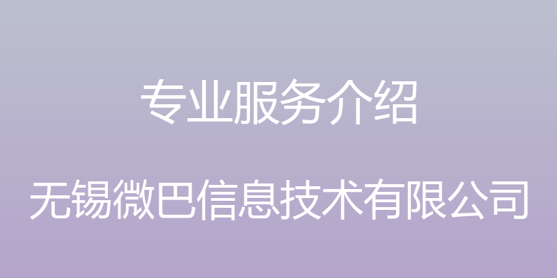 专业服务介绍 - 无锡微巴信息技术有限公司