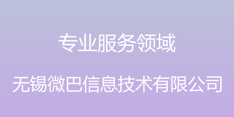 专业服务领域 - 无锡微巴信息技术有限公司